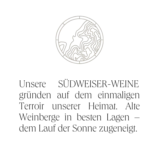 2023 Spätburgunder Rotwein trocken