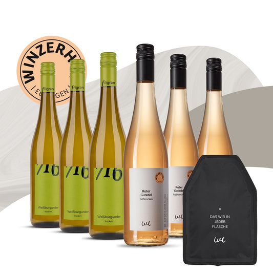 6er Weinpaket „Spargelfreunde“ – Fruchtig, lebendig, ausgewogen