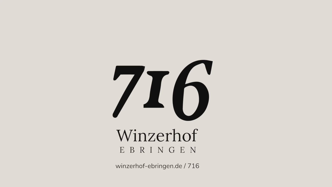 Imagefilm der 716 Reihe, verschiedene Eindrücke der gelebten Weinkultur, Weinfeste, tanzende Menschen auf dem Wein- und Sektfestival vor der Kulisse des Ebringer Schlosses, Weingenuss und die passenden Speisen.