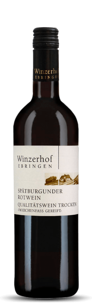 Spätburgunder Rotwein trocken – Im Eichenfass gereift – 2021